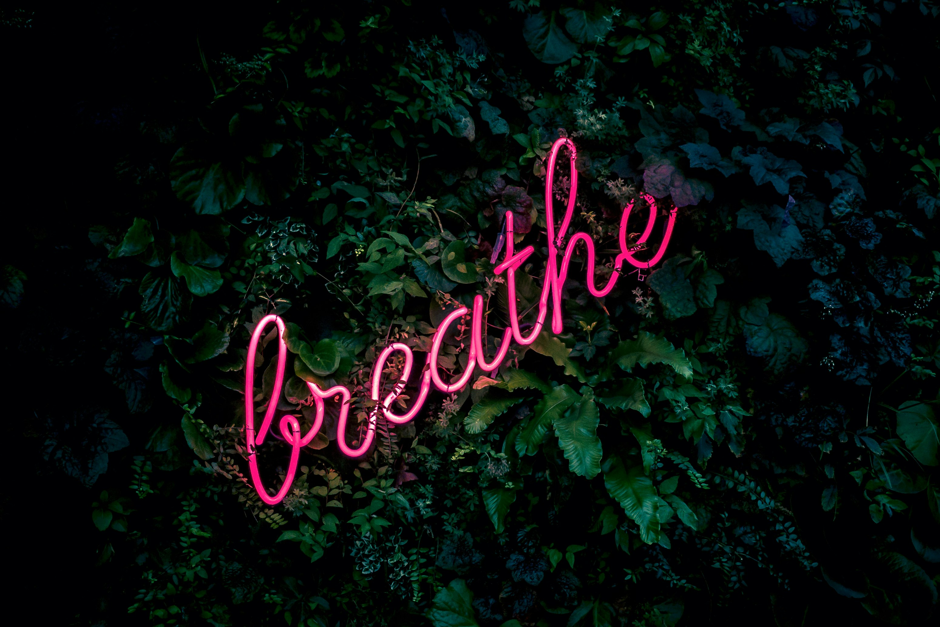 Letrero neón breathe